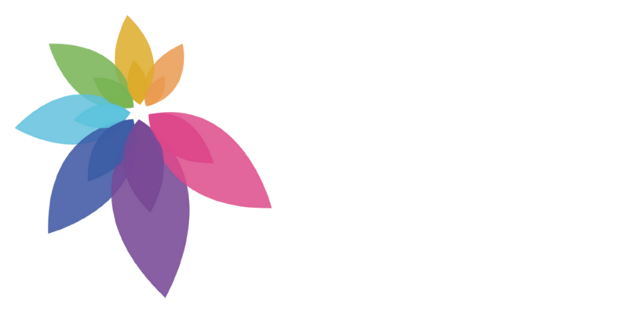 logo ayvir